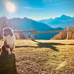Ferienhaus La Vigo di Cadore