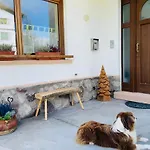 La Vigo di Cadore