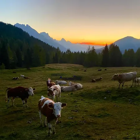 Feriehus La Vigo di Cadore