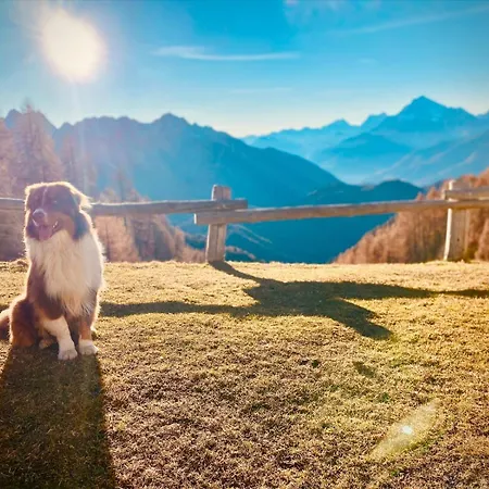 Tatil Evi La Vigo di Cadore